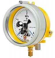 ДМ2005ф Сг1Ехd 16 МПа кл.1,5 исп V  УТ000010690