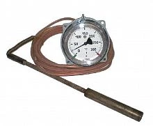 ТГП-100Эк-М1-(0...+150)°С-1,0-6-250 УТ000004229